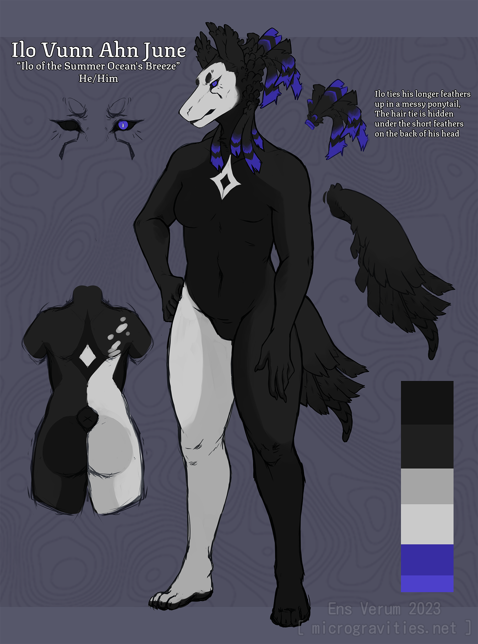 A reference sheet for Ilo, an Aurai Shimmera