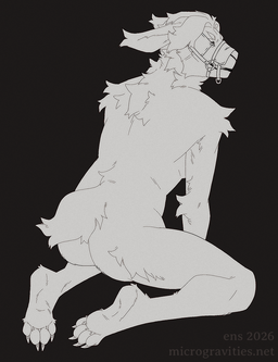 n/a