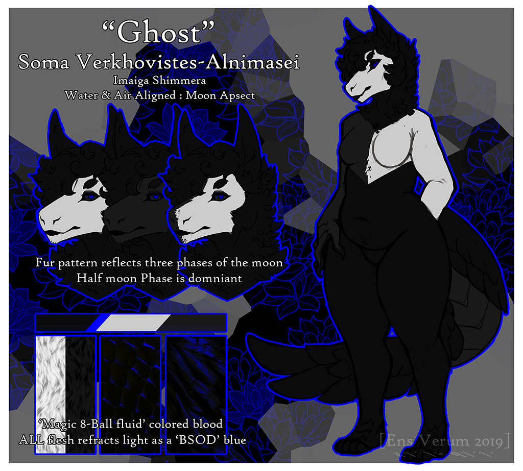 A reference sheet for Ghost, an Imaiga Shimmera